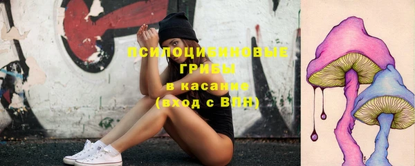 амф Богданович